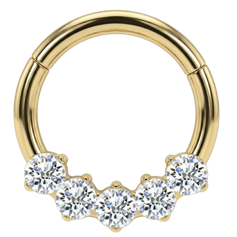 Anillo de titanio segmentado con 5 circonitas cúbicas redondas - Círculo