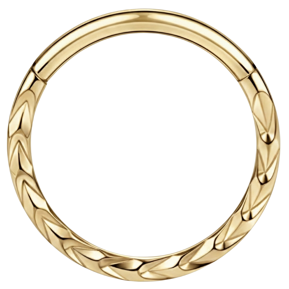 Estructura de círculo de púas segmentadas con clicker de titanio