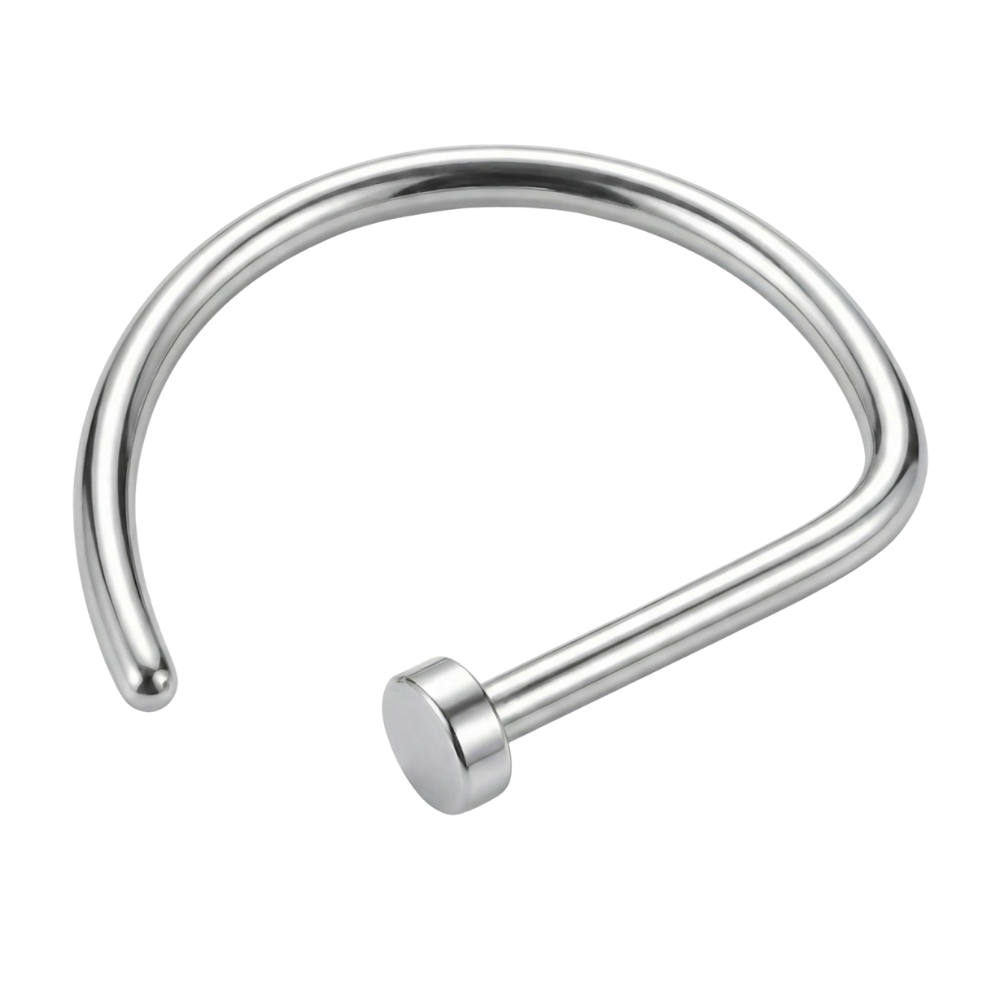 Titanium D-Ring Nose Ring