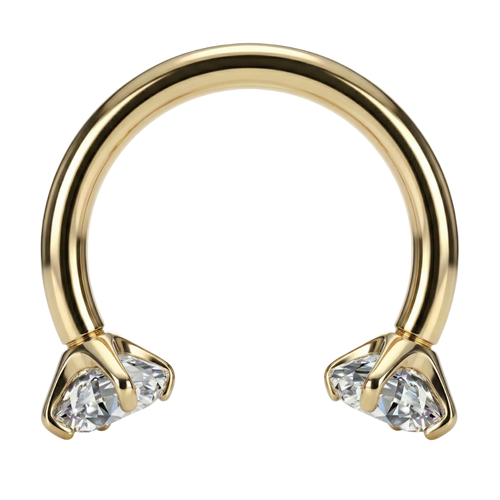 Herradura decorativa de titanio - Circonitas