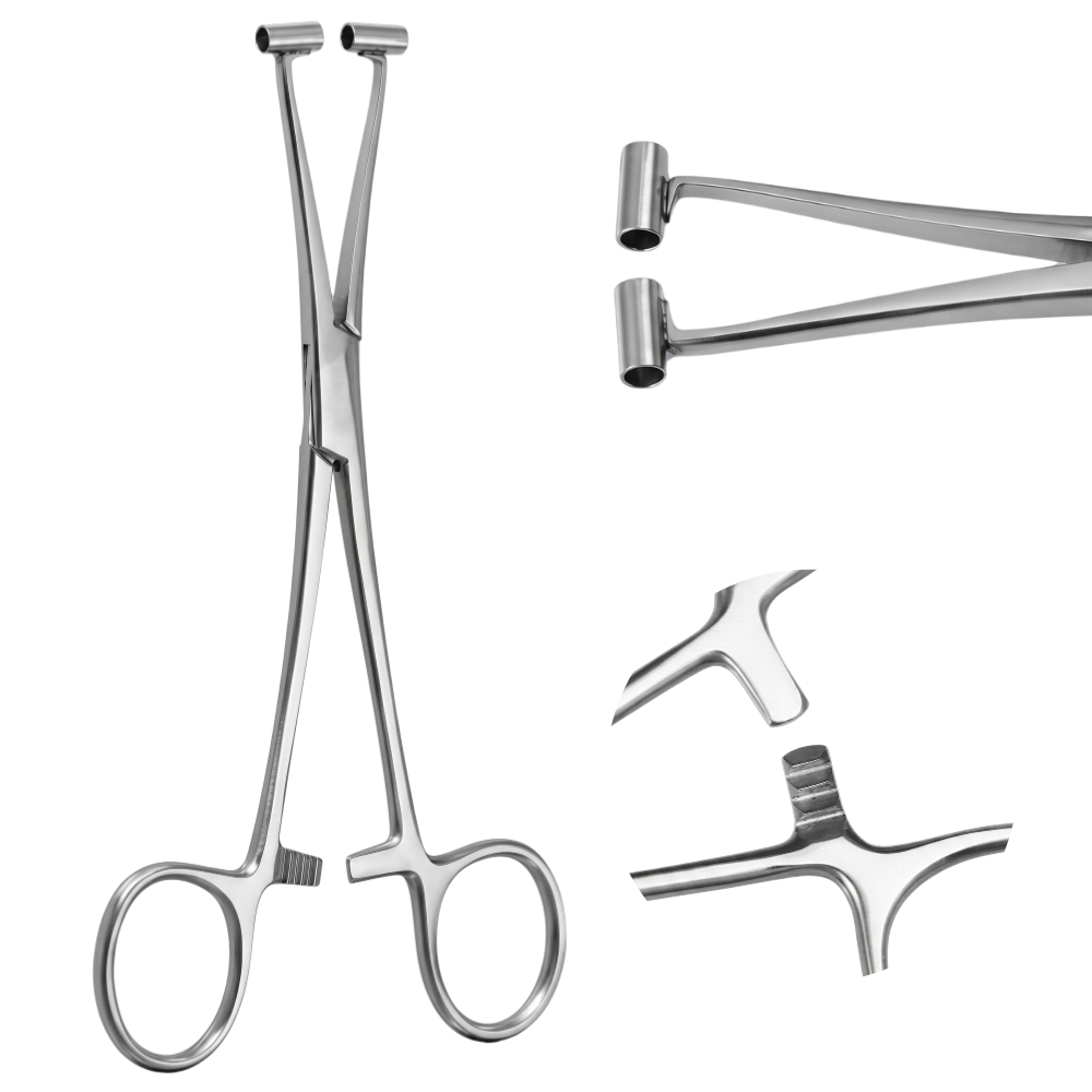 Pinza per setto - 16 cm
