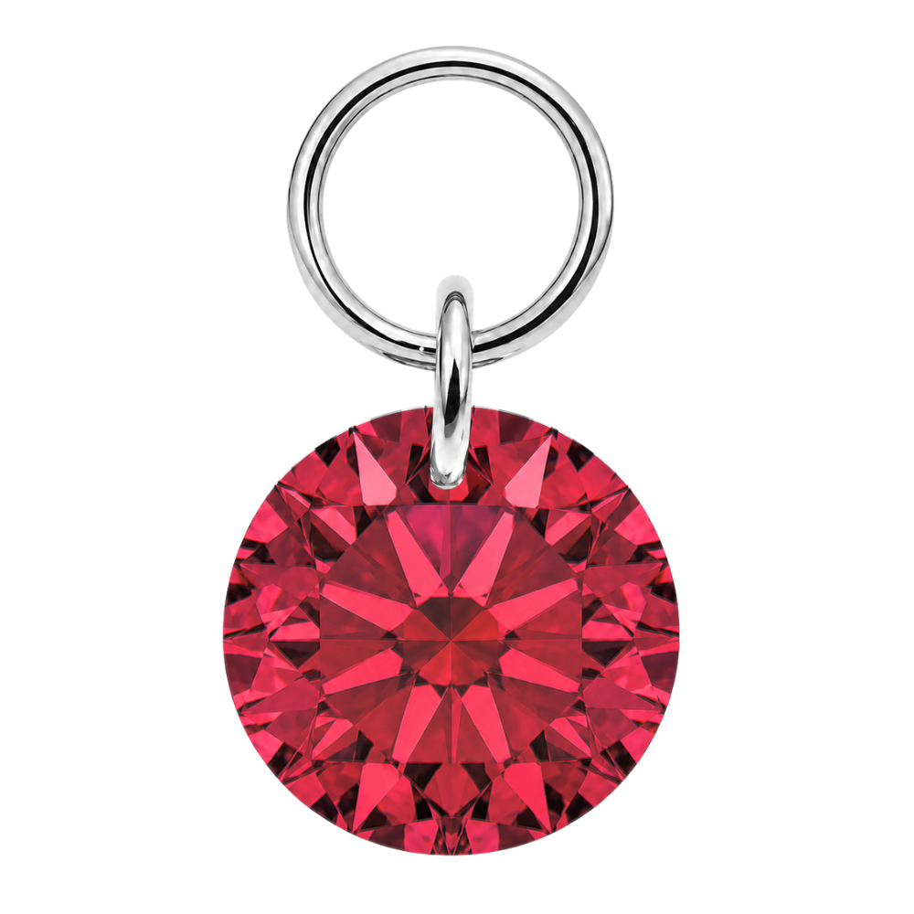Colgante Titanio Charm Piercing Redondo Plata Rojo