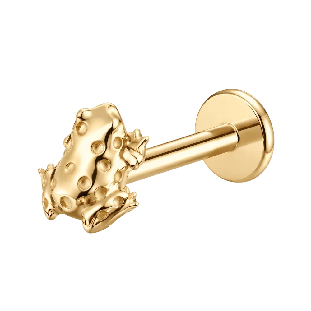 Tytanowy Labret Ozdobny Zaba Zloty