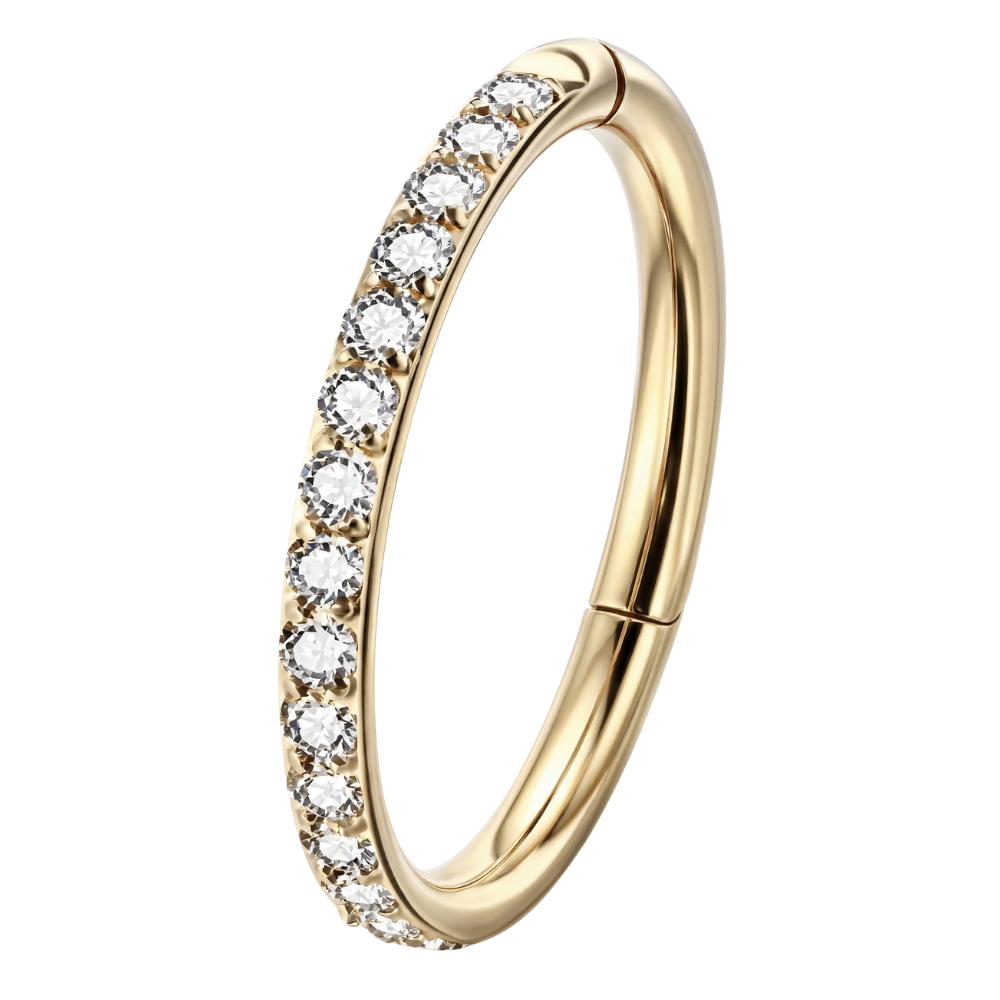 Stahlsegment-Clicker mit Zirkonen – Kreis